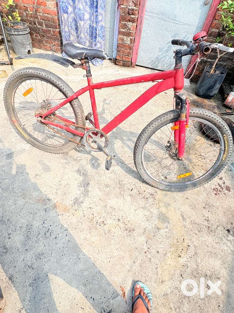 Bicycle Thick Tyres FROG Brand