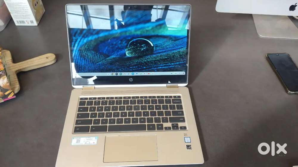 Hp chrome book