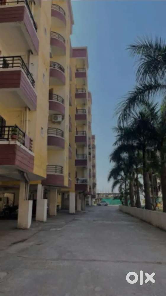Sai Dream flat for rent
