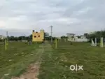 DTCP Approved Plot for Sale Guduvanchery  - Kuthanur village