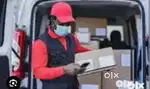 Fkt company parsel Van helper job