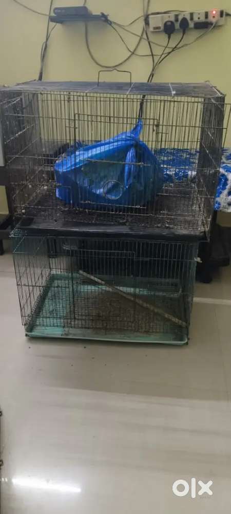 Used cages available