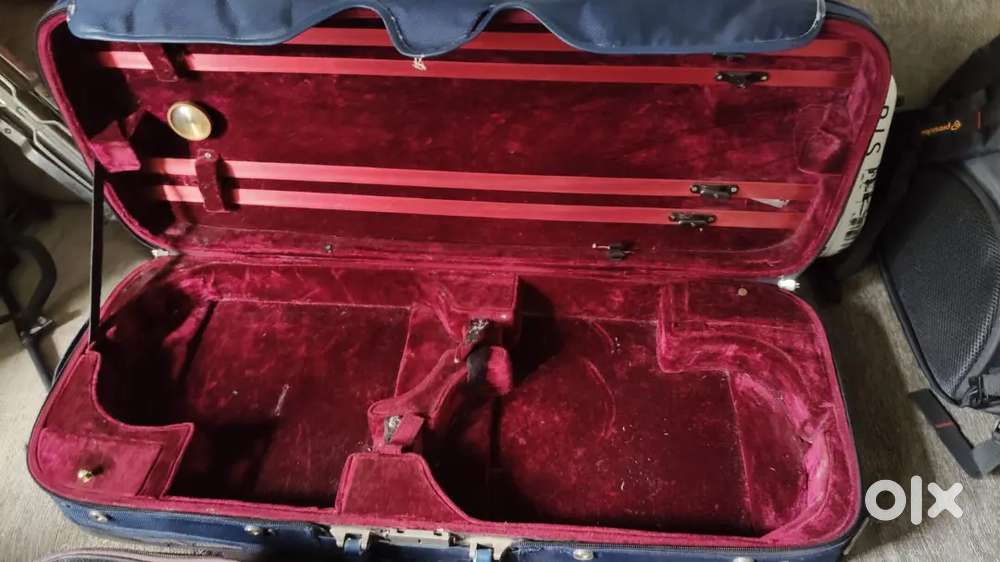 Violin case