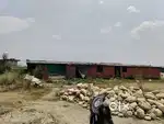 Oyester mushroom farm