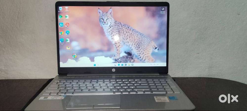 HP 15s Intel Core i3 11th Gen 1125G4 - (8 GB/512 GB SSD/Windows 11 Hom