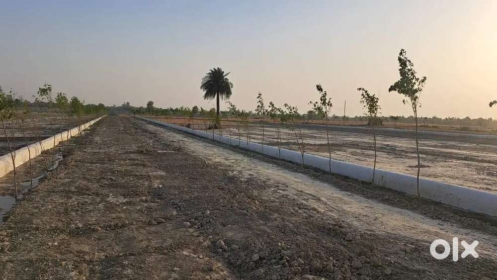 बहुत ही बेहतरीन लोकेशन में प्लॉट जिला पंचायत से अप्रूव्ड