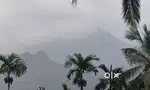 48 cents land in thamarasseri