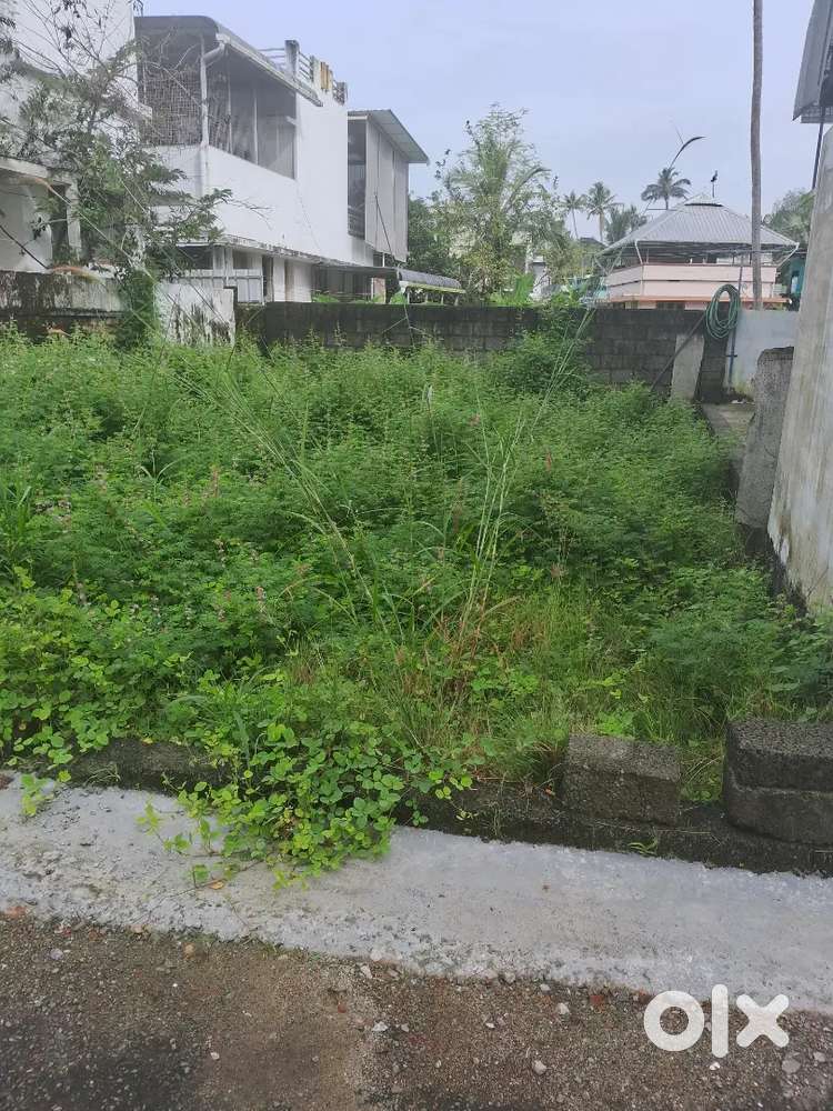 2cent plot. Four Wheeler accecess