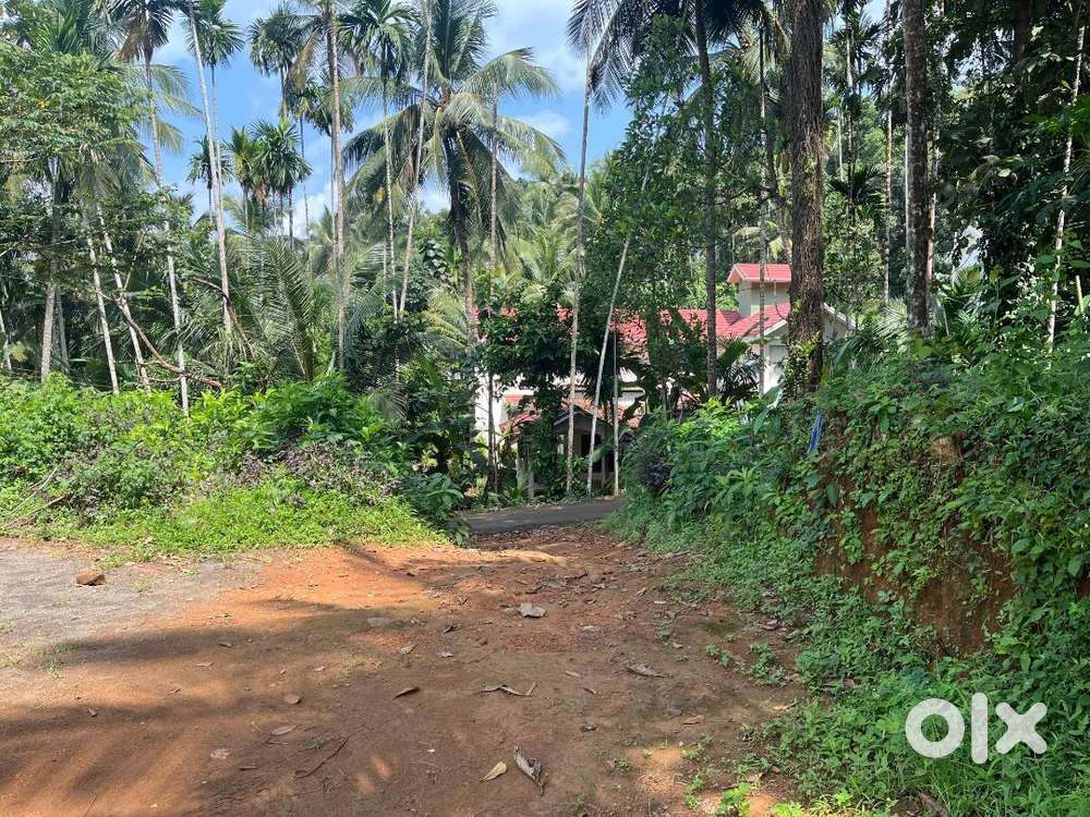 17.65 Cent land suitable for residential construction