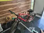 Viva Fat Bike