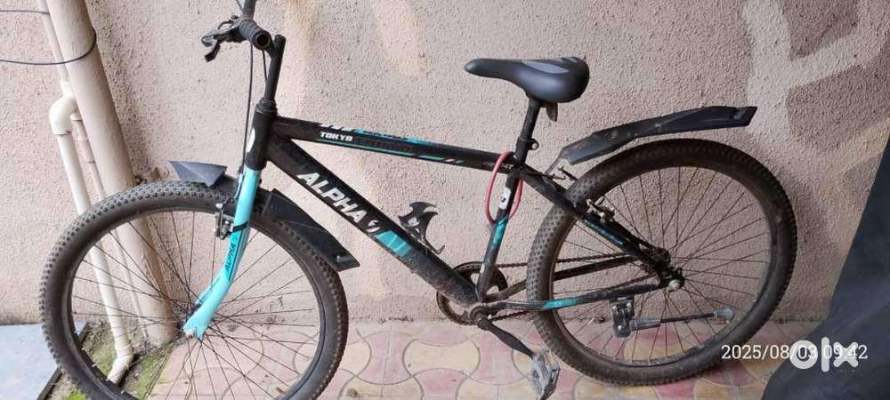6 months old alpha bicycle