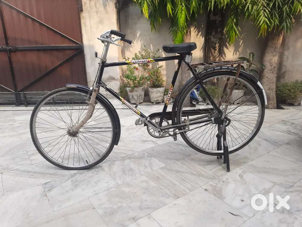 Bicycle (24 inches height)