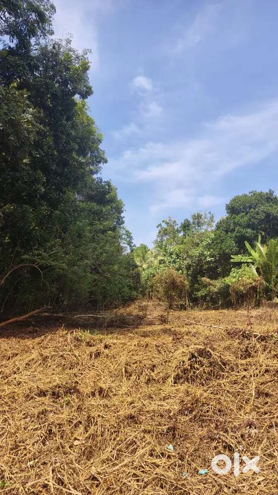 33Cent plot for sale near kattukulam higher secondary school