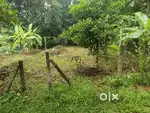 7 cent plot for sale in Ponkunnam, Kottayam Per Cent 2,00,000/-