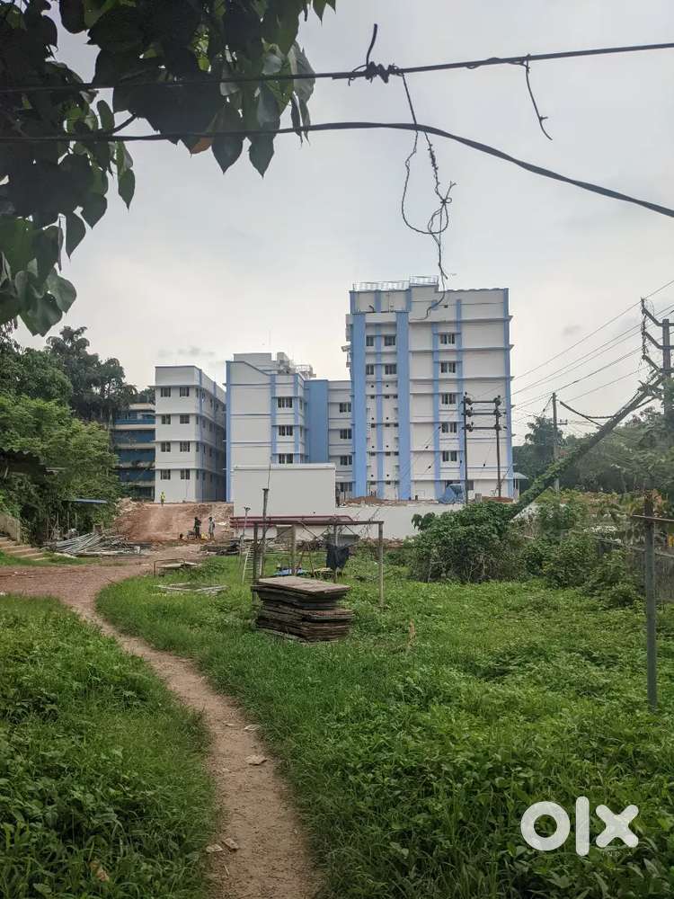 Small  work manage labour and book site supervisor