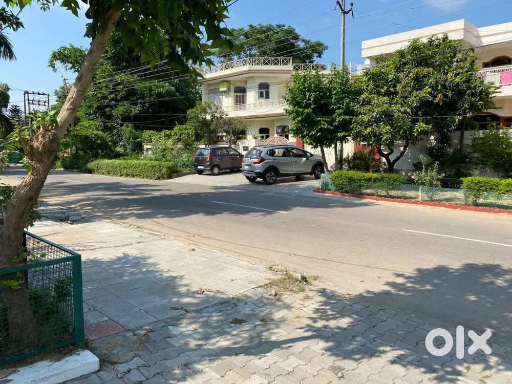 Independent House Furnished(500Gaj) For Rent in Prime Location Patiala