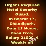All Security Jobs Chandigarh 52