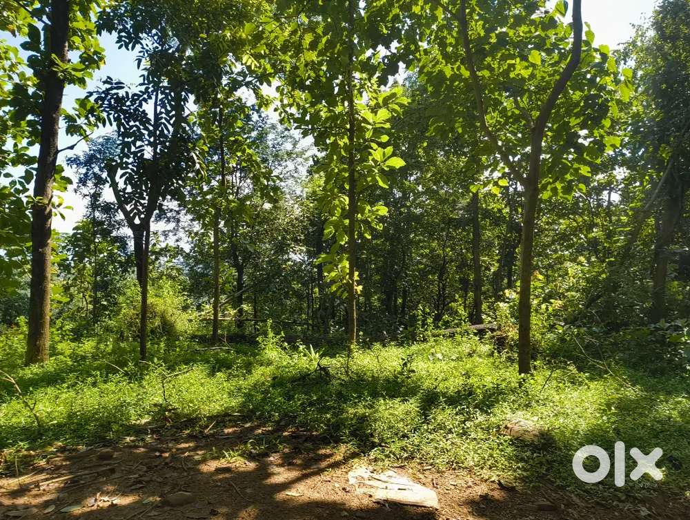 Plot for sale with 2 side panchayath road access