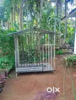 Dog Cage for Sale