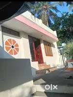 3 BHK independent house for rent in ambalamukk.
