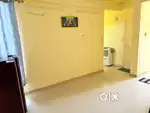 Need a room mate