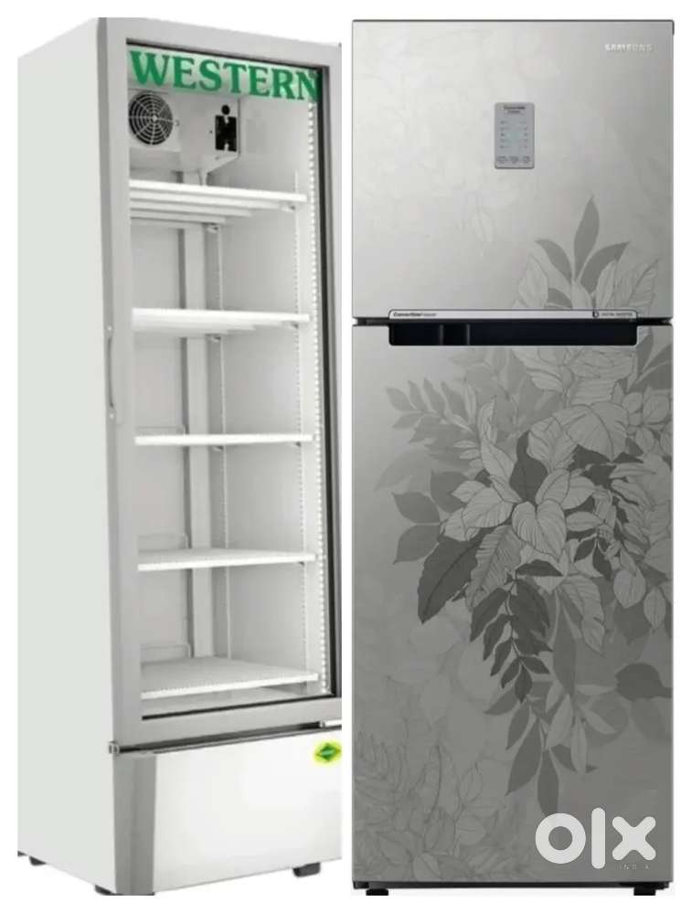 Western Deep Freezer and Samsung refrigerator