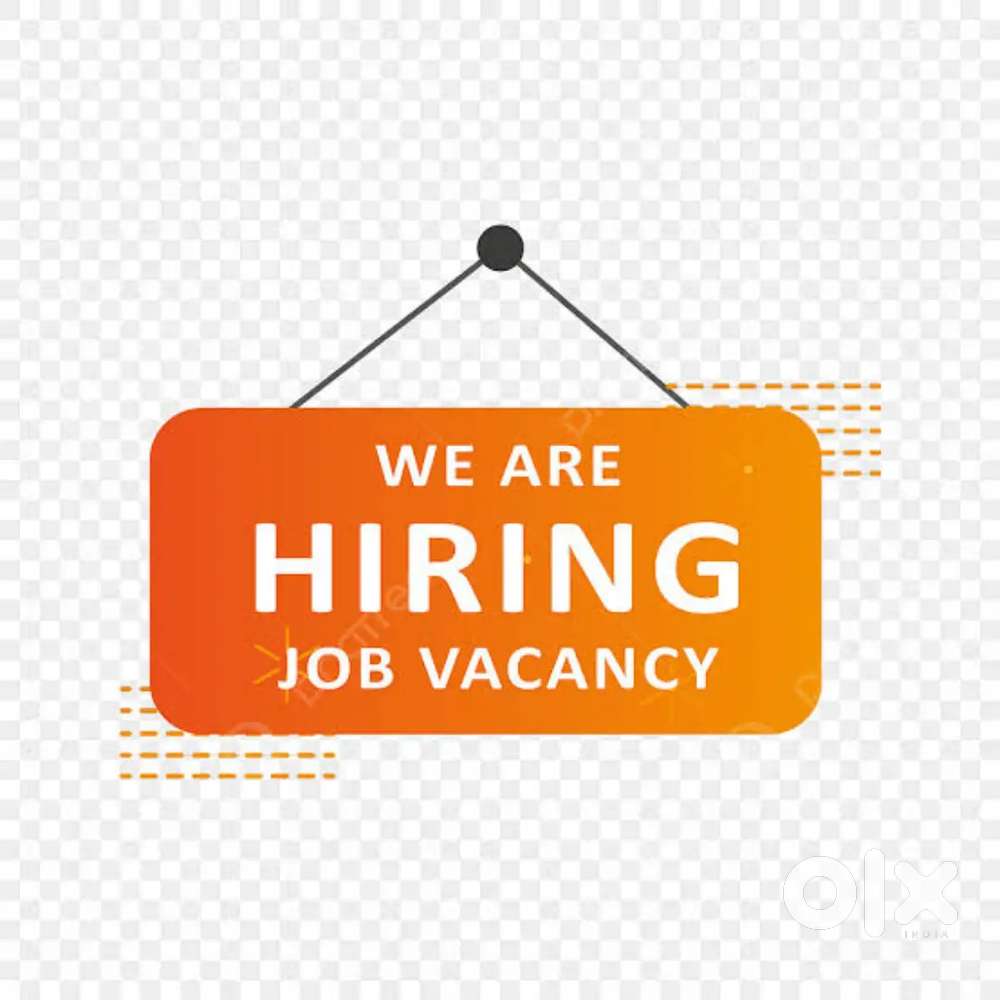 Back Office Job( No Consultancy Totally free)