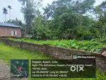 Bahampur Nagaon Assam