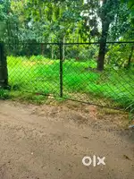 Plots are available. monvila,trivandrum corporation,near technopark
