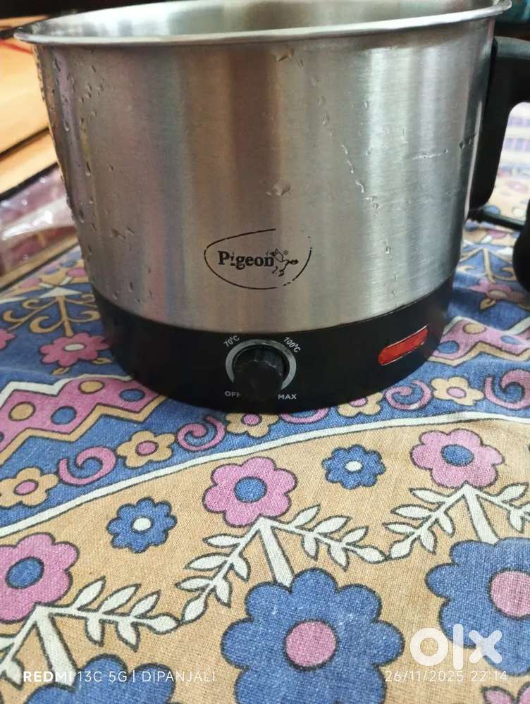Pigeon  electrical kettle
