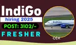 Ground Staff jobs in indigo Airlines urgent hiring apply