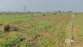 Plot near Bhikhua Mod Patna (Fatuha) for sale