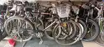 24 cycle for men