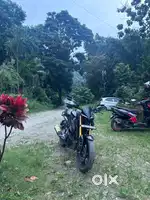 New model mt15