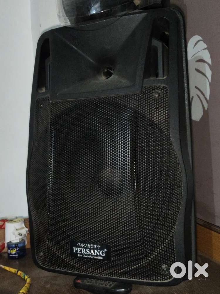 Party speaker