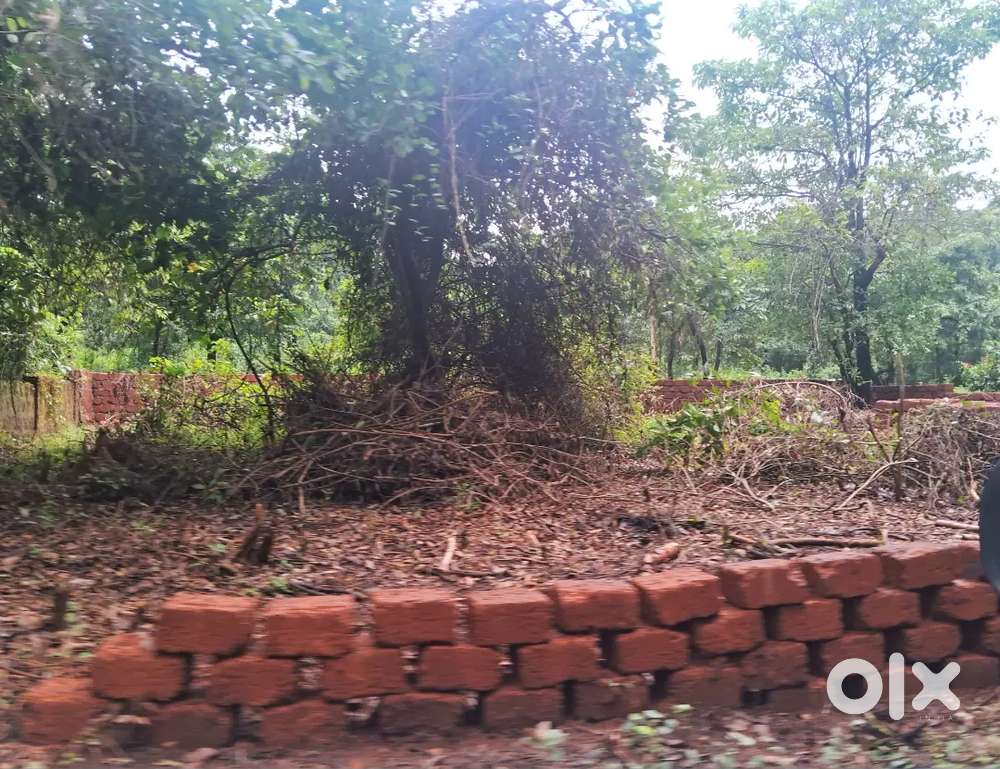 Plots near Bicholim and Valpoi, Developed Residential