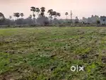 54 Dismil Land at DADAR