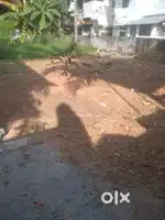 Pettah chakka road 7.25 cent plot 150 mtr Nh