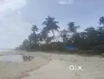 CRZ Cleared Property at Thumpoly, Alappuzha Municipality