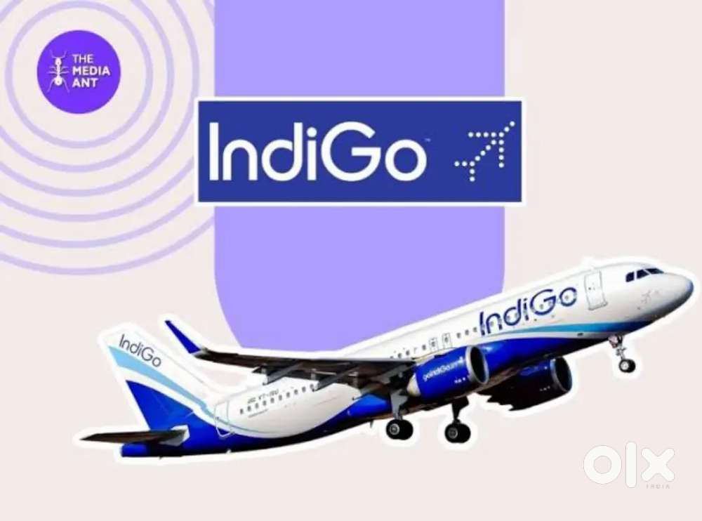 Cabin crew/Airport Ground Staff Jobs in Indigo Airlines Apply Fast.