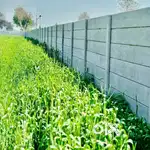 Nr curo pvr cinema plots for sale 4 lac per Marla according