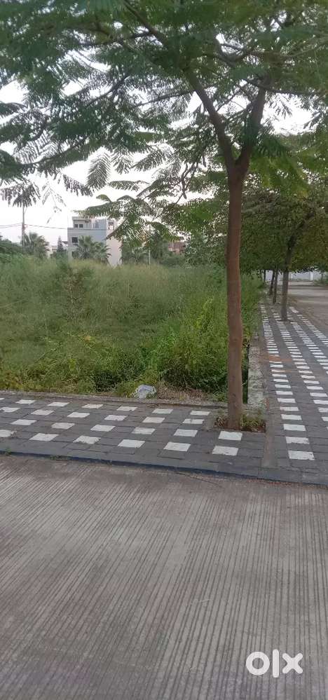 Garden facing plot