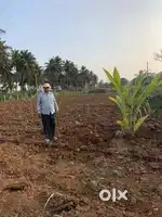 25 Guntas industrial plot