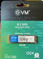 EVM SSD 256GB