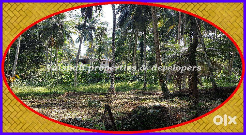 10 cents Residential Plot for sale in prime location near Nadakkavu