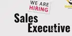 Sales Executive