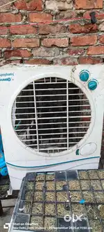 Want to buy out cooler