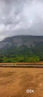 Ettimadai Amritha Collage Back Side Farm land For Sale