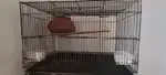 Bird Cage 24 × 16 inch ( total 4 available)