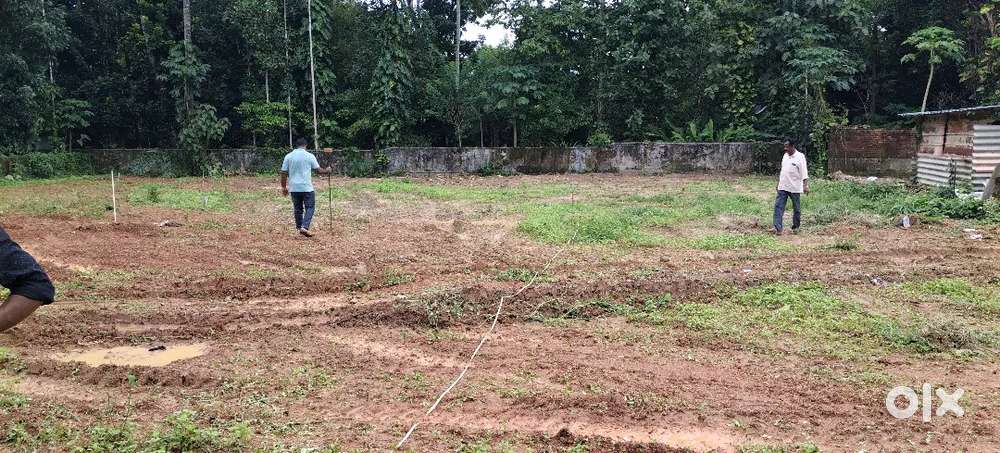 ഏറ്റുമാനൂർ അതിരുമ്പുഴയിൽ മെയിൻ റോഡിൽ നിന്നും 1 km ദൂരത്തിൽ 8 സെന്റ്